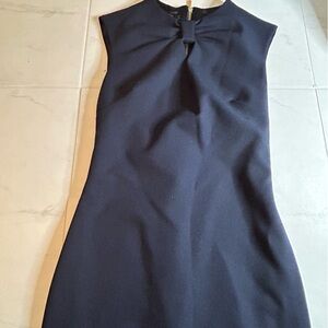 Ted Baker Navy Sleeveless Shift Dress